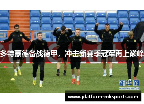 多特蒙德备战德甲，冲击新赛季冠军再上巅峰