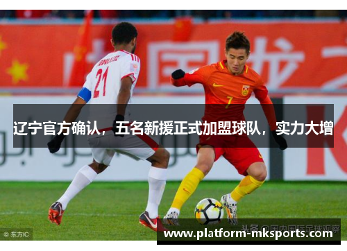 辽宁官方确认，五名新援正式加盟球队，实力大增