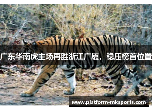 广东华南虎主场再胜浙江广厦，稳压榜首位置