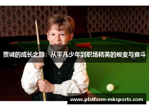 贾诚的成长之路：从平凡少年到职场精英的蜕变与奋斗